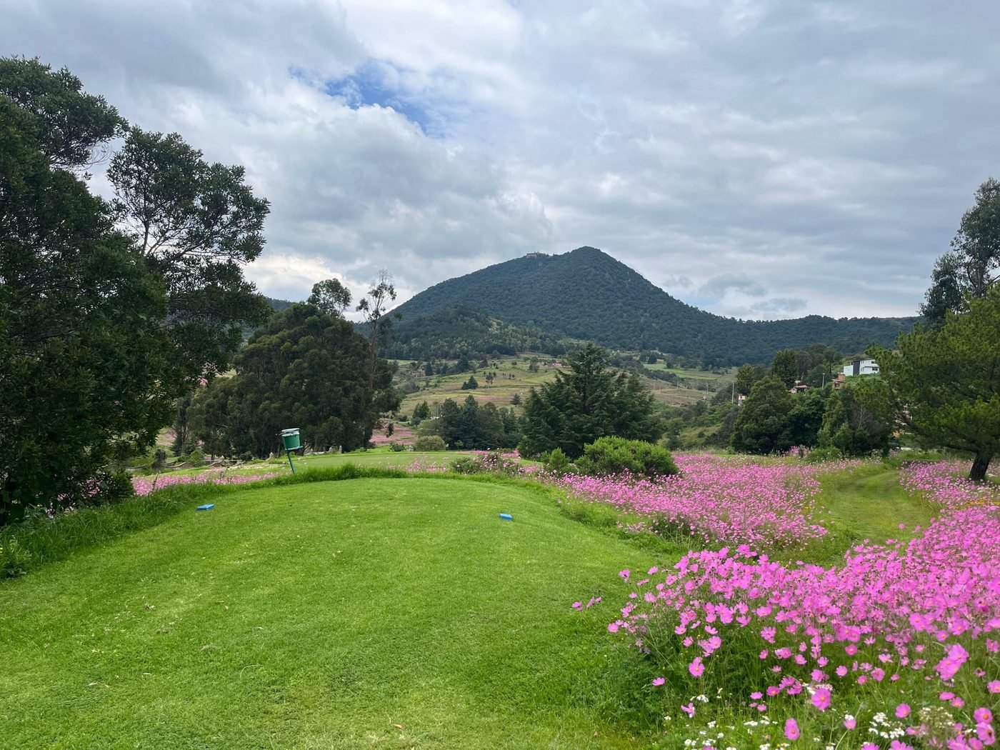 Campo de golf de Hacienda La Purísima entre flores de cosmos